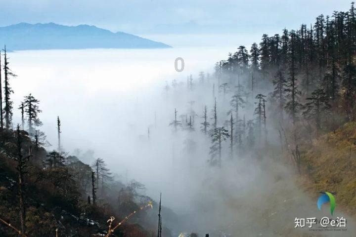 安徽省人大常委会今年将推进代表建议办理全过程监督
